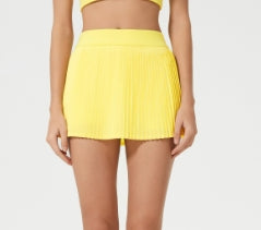 25008 # SKIRT
