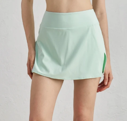 41011 # SKIRT