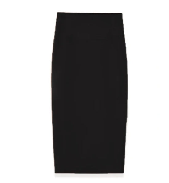 DSS088 # SKIRT