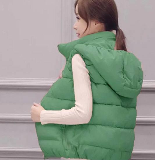 Sleeveless Jacket  Down Vest #SZNYDOWNJIA VEST