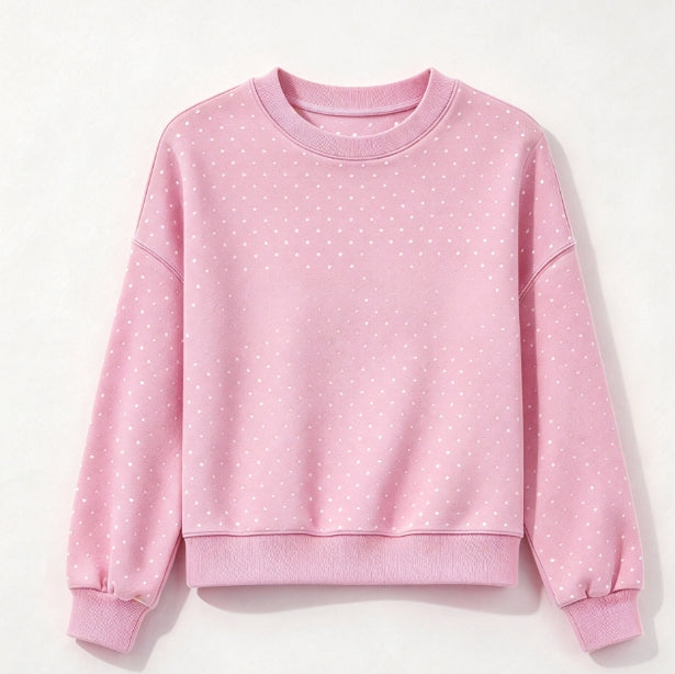 S-2013 Sweatshirt