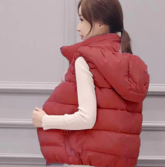 Sleeveless Jacket  Down Vest #SZNYDOWNJIA VEST