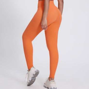 5030 # Women Sport Leggings 4 6 8 10 # luo qi 5030-LEG