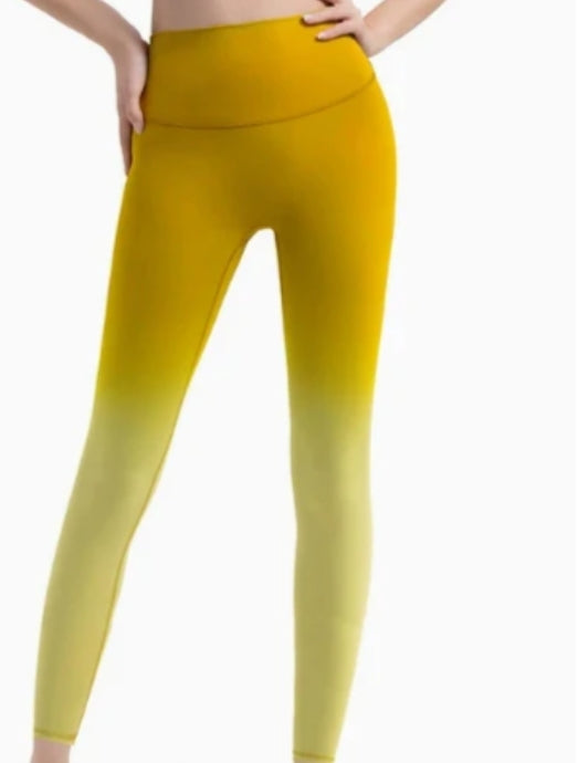 K7001 # PANT 24'' -LEG