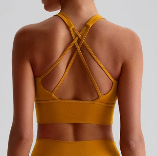 NEW2197 # BRA